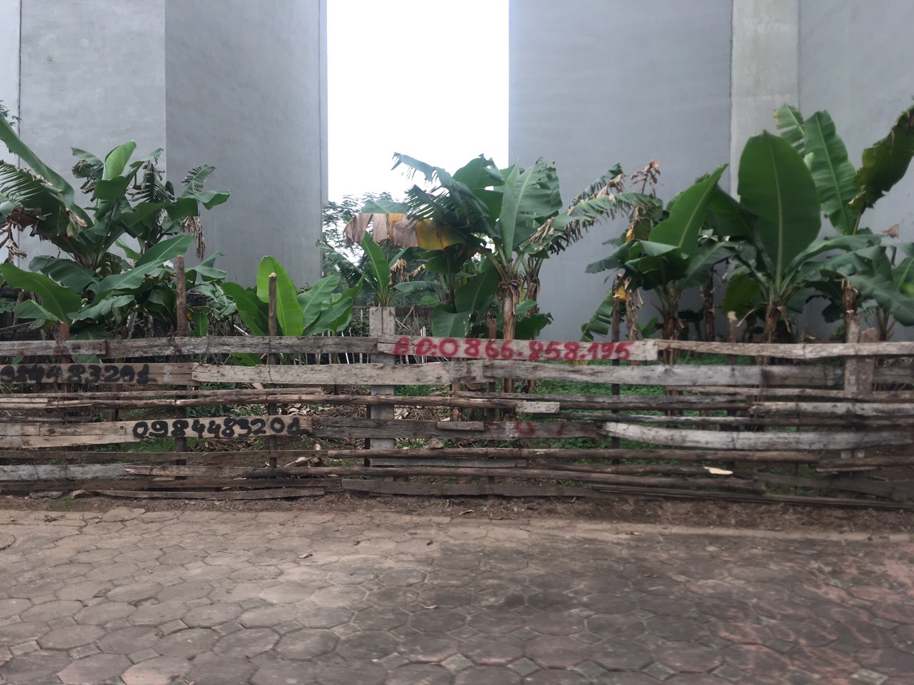 Ban gap 55m dat khu 7,2ha Tai dinh cu trau quy