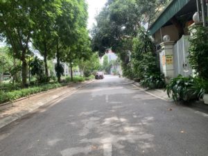 Ban lo goc ngo 541/16 to 8 thach ban